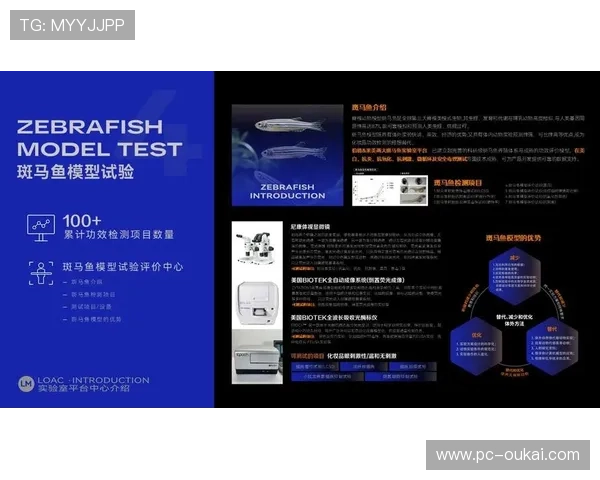 乐鱼电子有限公司官网最新产品介绍与技术创新全景解析